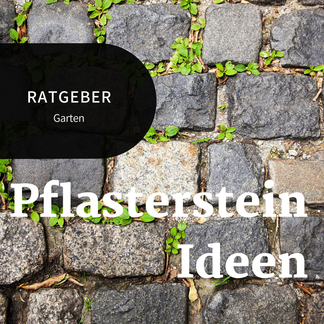 Pflasterstein-Ideen für Gartenwege - Bannerbild