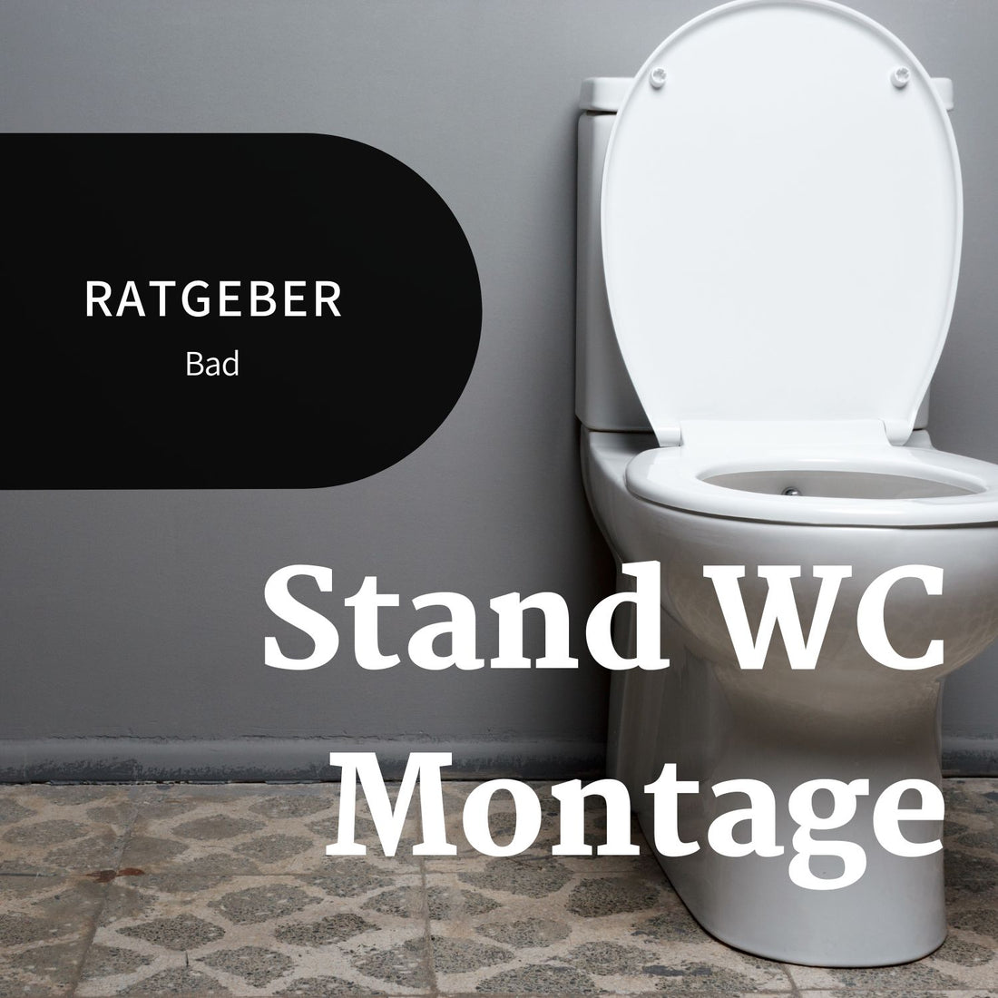 Stand WC Montage Bannerbild